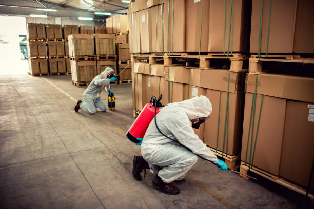 Best Cockroach Control Services  in Buhl, MN