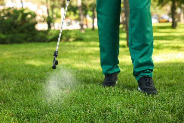 Best Pest Removal Services  in Buhl, MN
