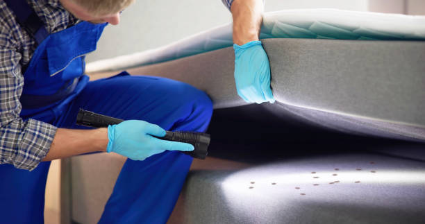 Best Commercial Pest Control Services  in Buhl, MN