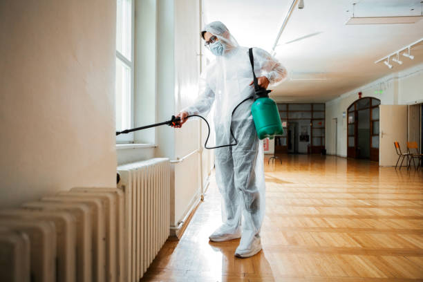 Professional Pest Control in Buhl, MN