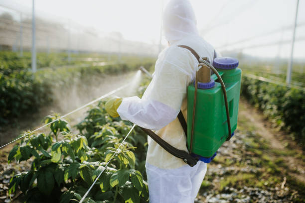 Best Best Pest Control Companies  in Buhl, MN